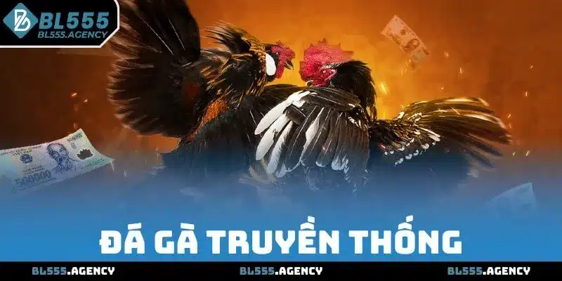 Đá Gà Truyền Thống - Loại Hình Cá Cược Số Một Tại BL555