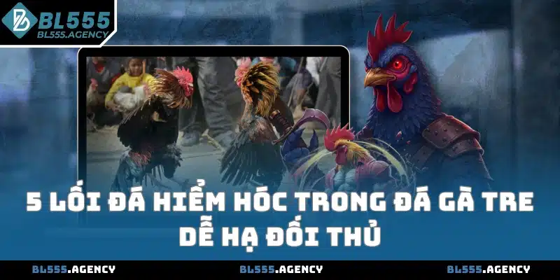 5 lối đá hiểm hóc trong đá gà tre dễ hạ đối thủ